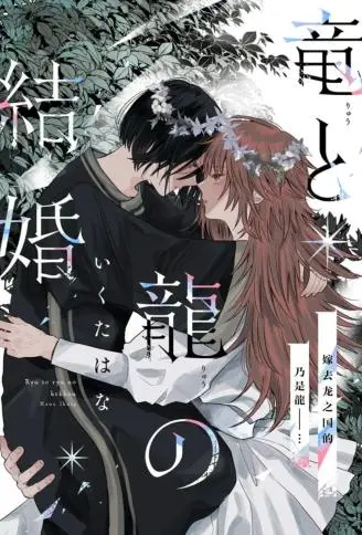 龙和龙的新婚 WB版,龙和龙的新婚 WB版漫画