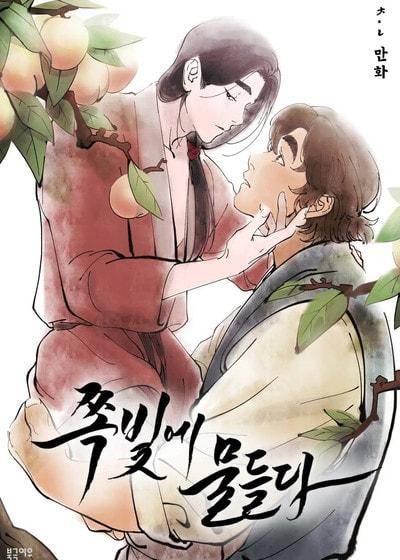 左风起蓝海 (台版),左风起蓝海 (台版)漫画
