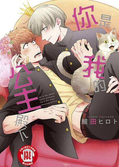 你是我的公主殿下,你是我的公主殿下漫画