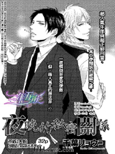 夜晚的秘密关系,夜晚的秘密关系漫画